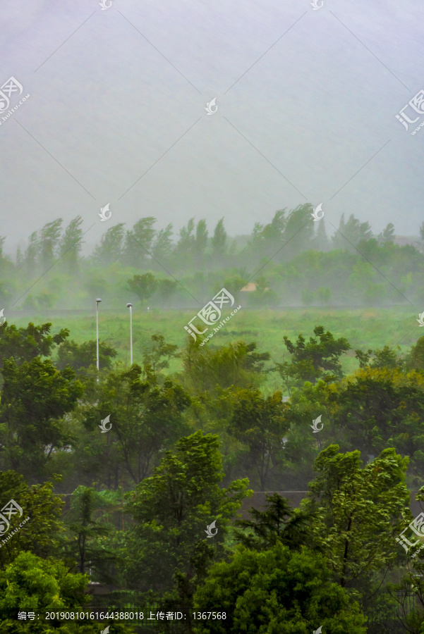 风雨天的郊外