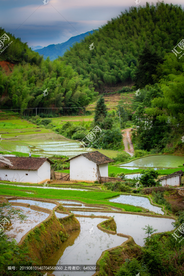 上堡梯田