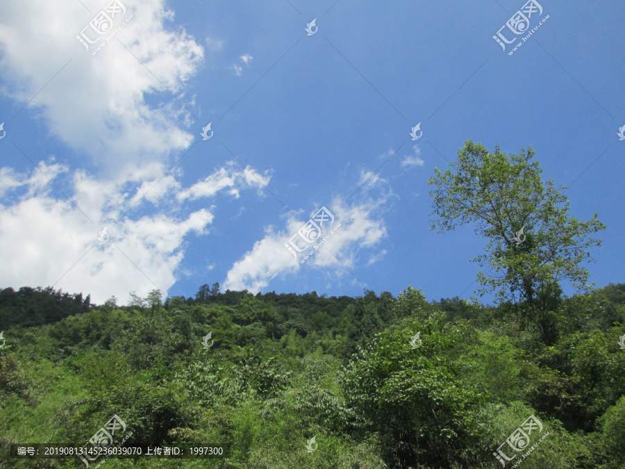 重庆武隆仙女山风景照