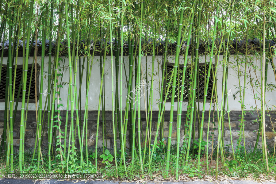 竹林园林墙