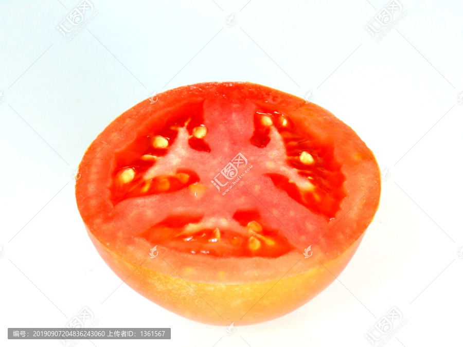 番茄创意摄影