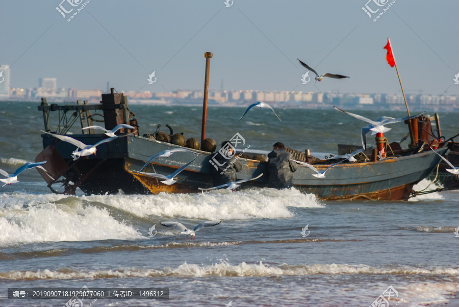 浪花里的渔船海鸥和城市