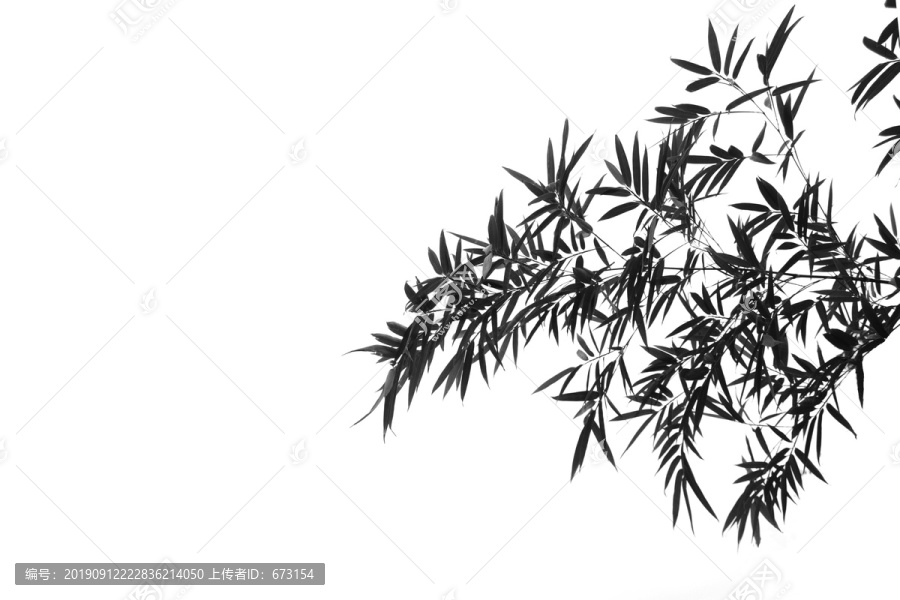 水墨竹子