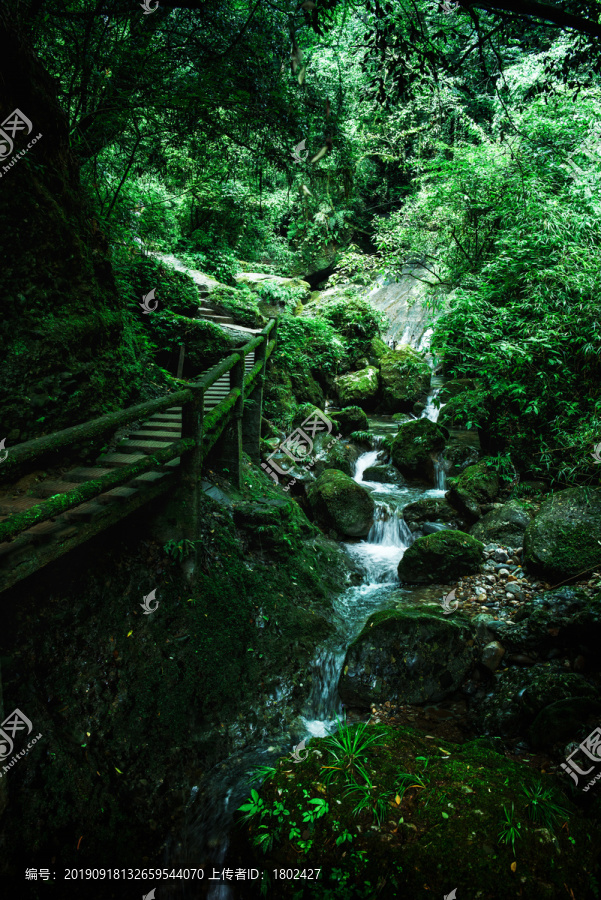 青城后山