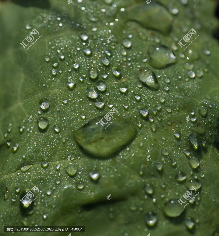 雨珠