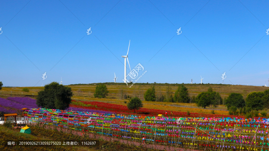 花圃