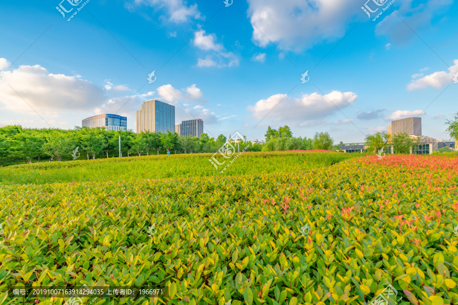 城市花园