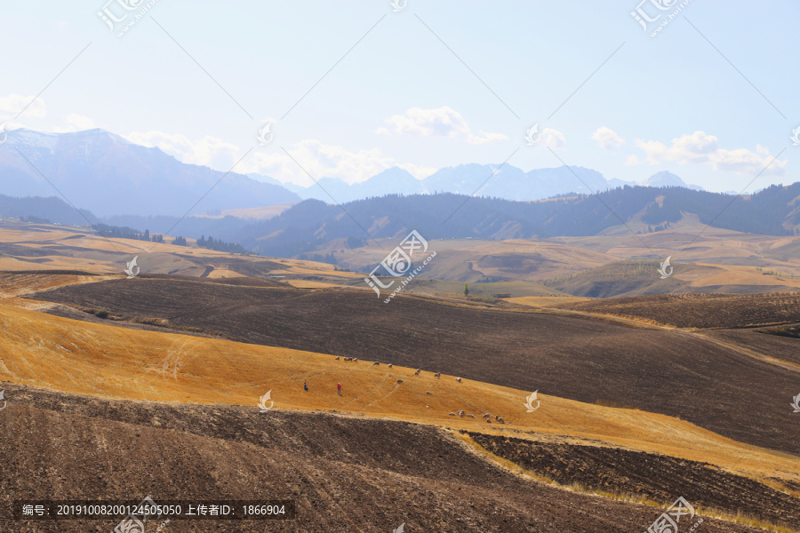 绵延起伏天山