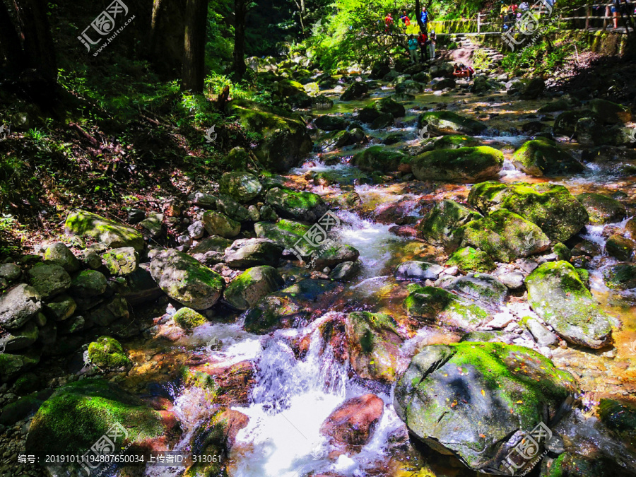 青苔溪流泉水