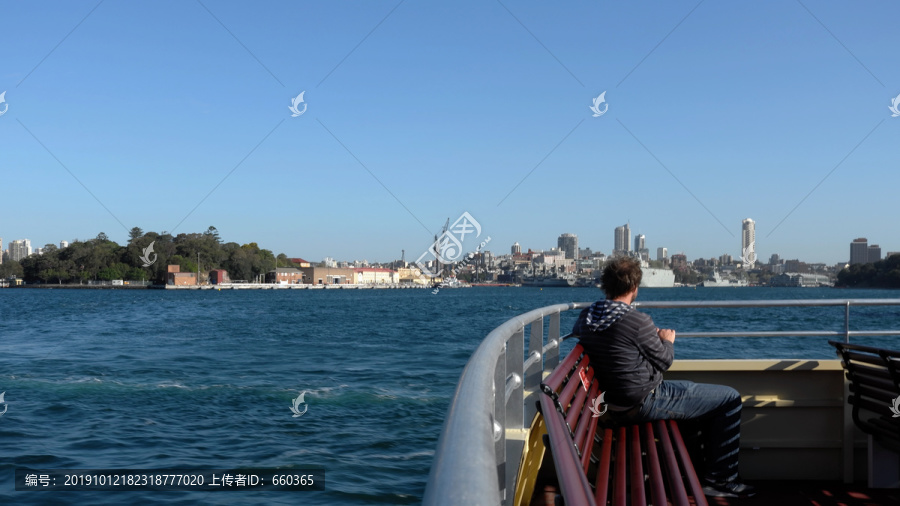 悉尼湾游艇游览