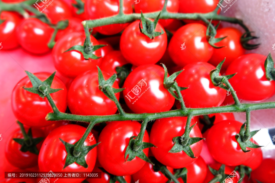 小西红柿水果番茄