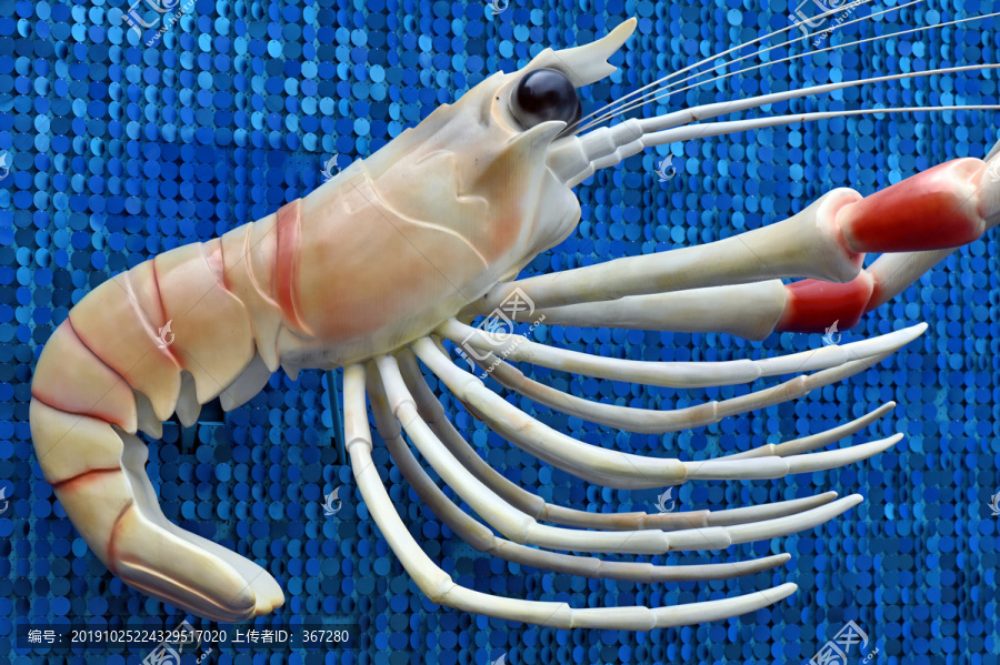立体大龙虾模型