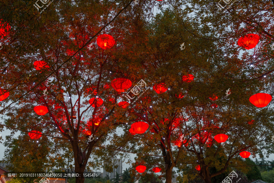 夜晚树上的红灯笼