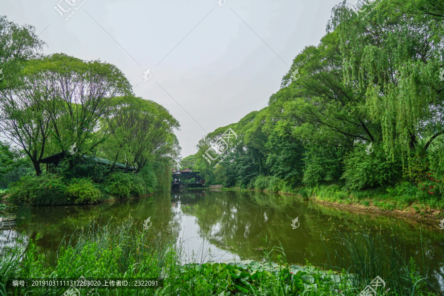 蓝天白云绿植湖泊