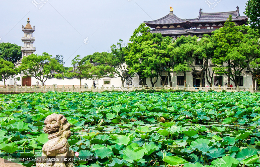 普陀山普济寺