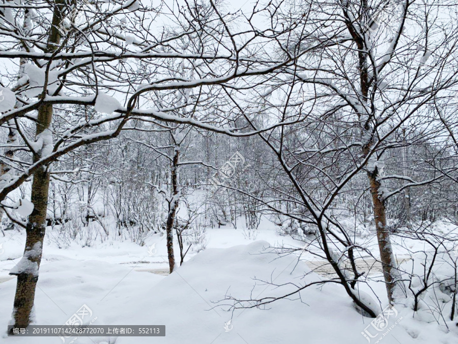 雪地森林