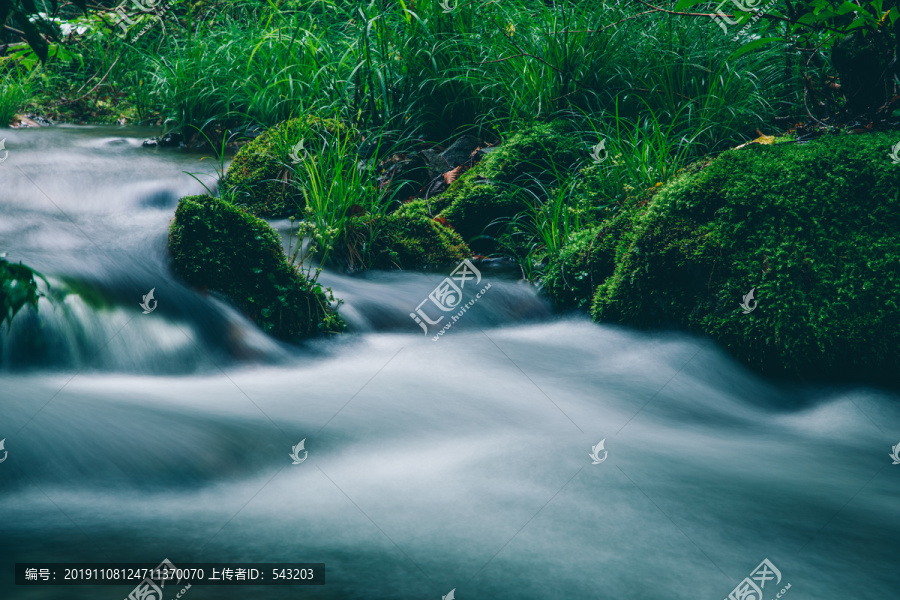 绿石谷青苔苔藓原生态水源地