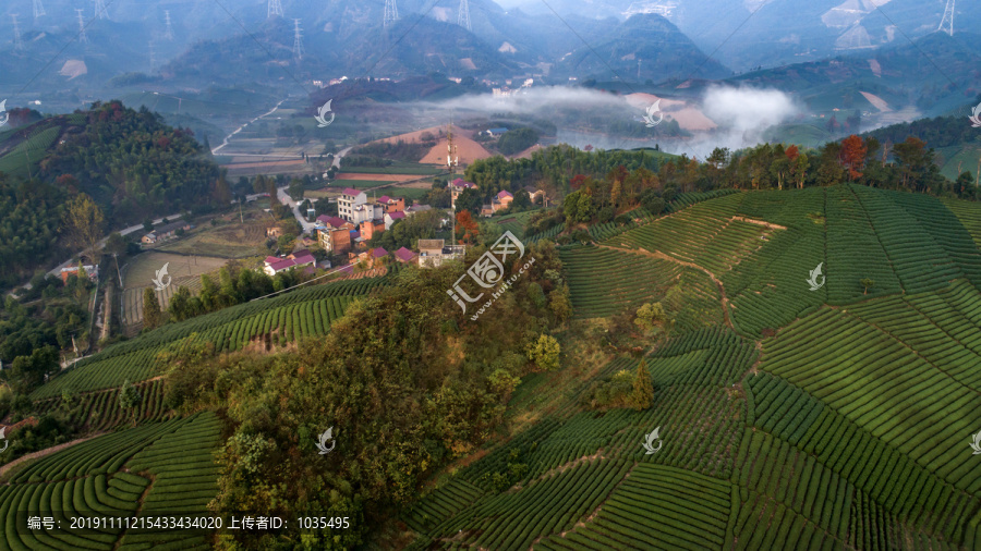 茶山风光