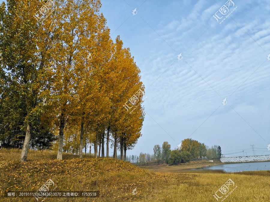 秋天风景