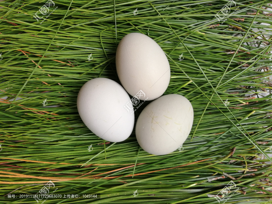 乌鸡蛋翡翠蛋