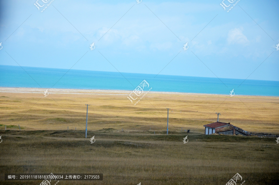 青海湖边牧场