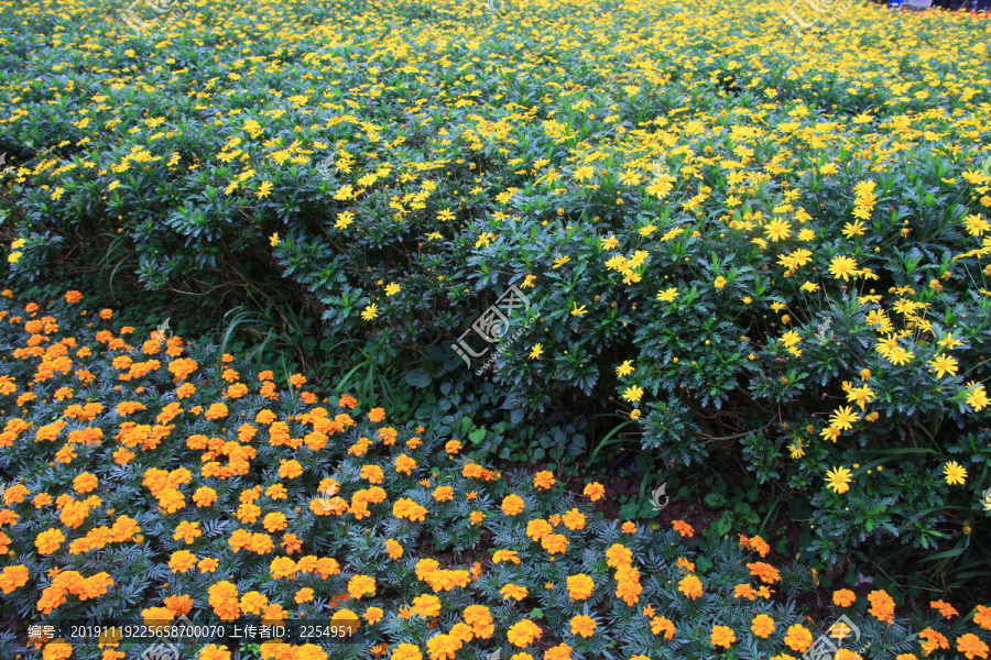 花坪素材