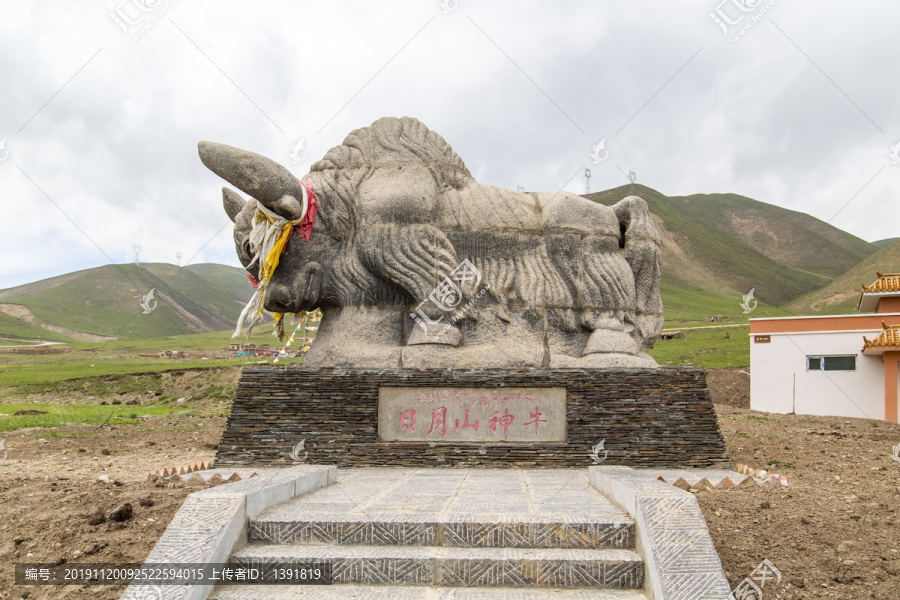 青海日月山景区日月山神牛