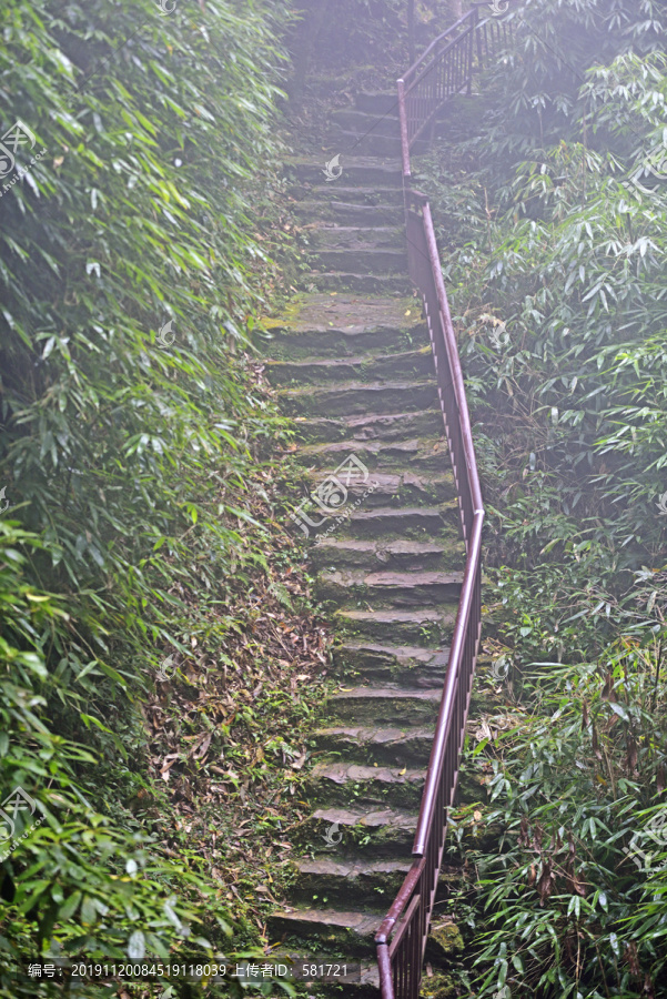 登山道