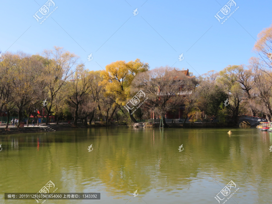 柳湖秋景