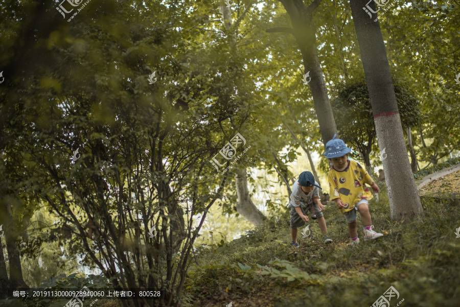 小男孩与小女孩在树林里捉虫