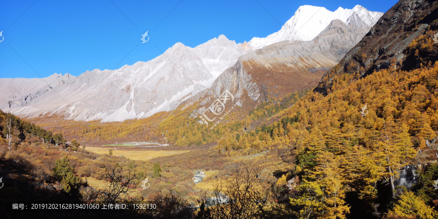 稻城亚丁秋天风景