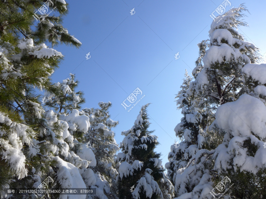 雪景