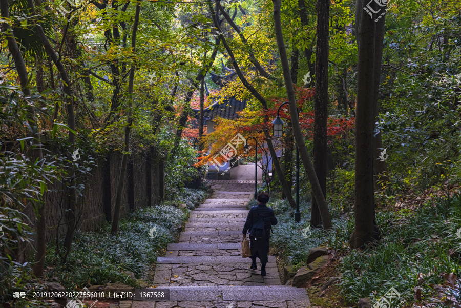 山林登山道