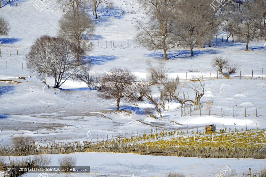 坝上雪景