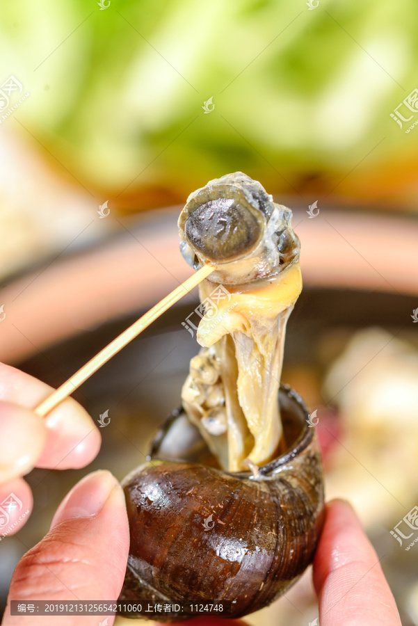 鸡肉田螺煲