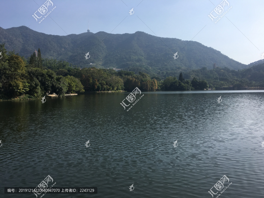 深圳仙湖植物园湖边风景