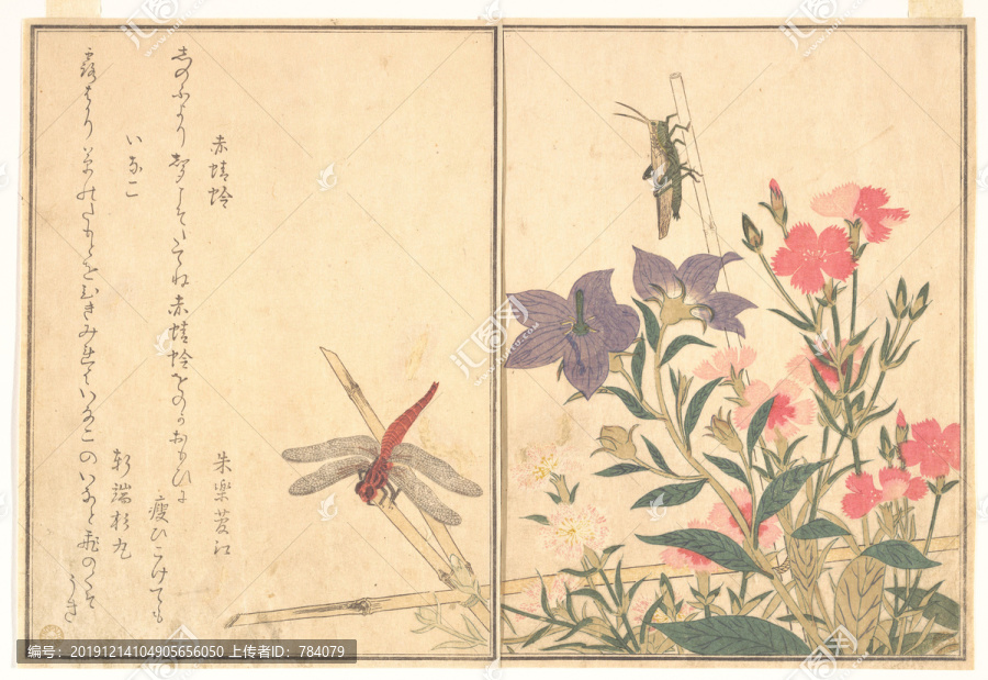 喜多川歌麿红蜻蜓和蝗虫