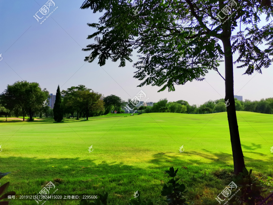 高尔夫球场草坪