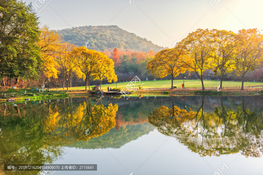 杭州西湖太子湾公园秋景