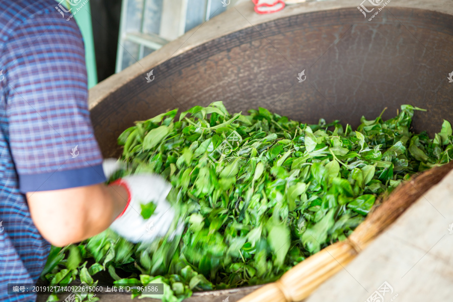 茶叶制作X炒茶