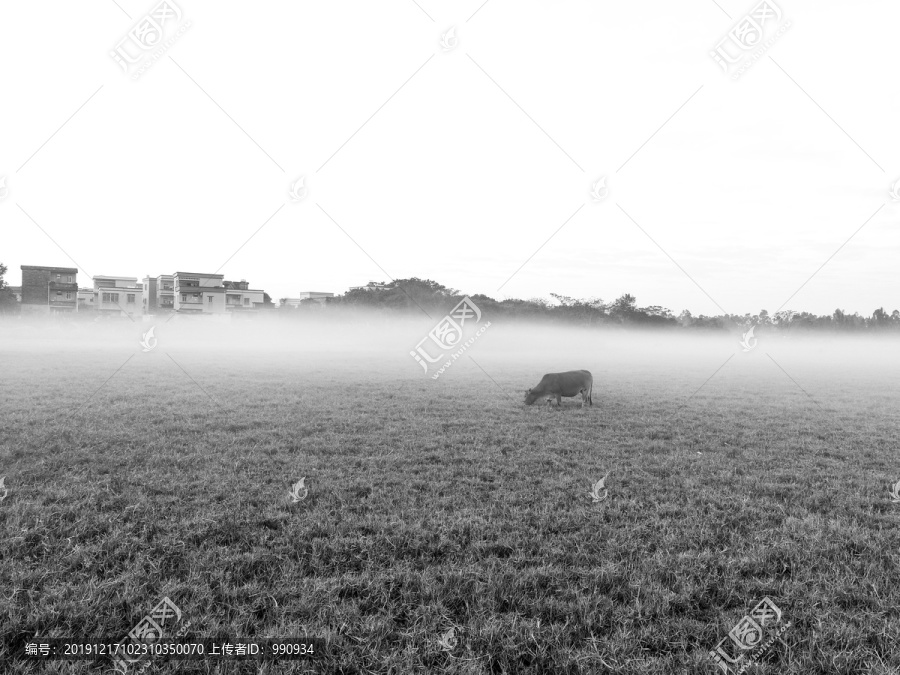 黑白景色