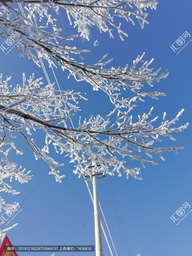 雪树