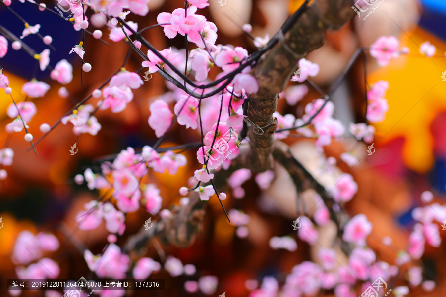 龙潭湖春节