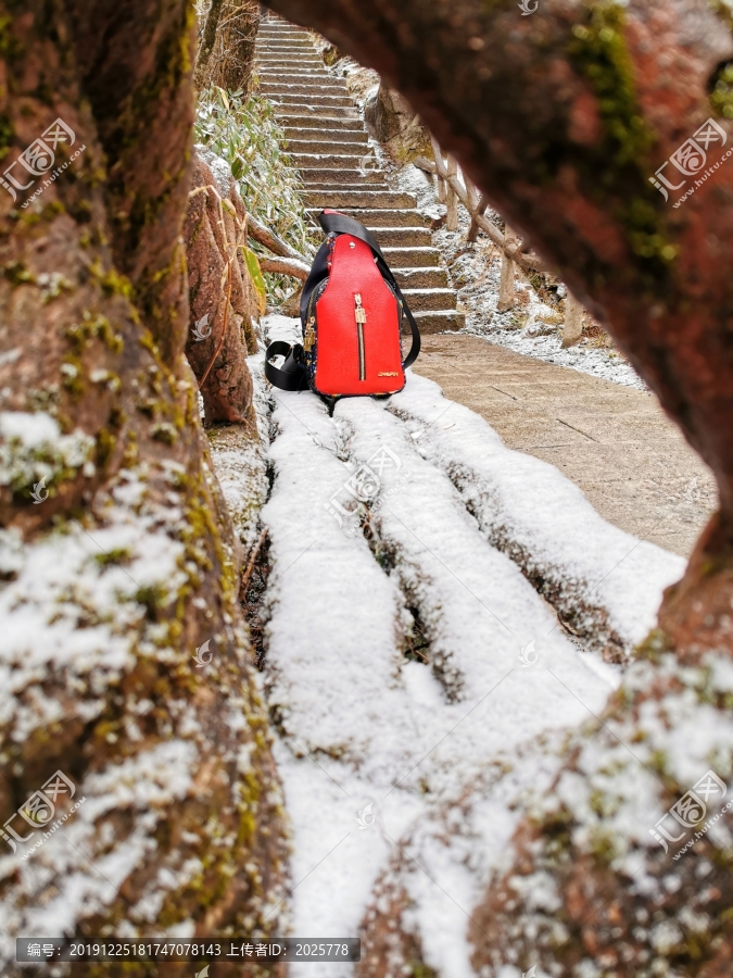 雪中红