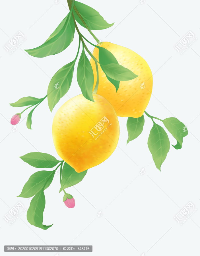 淡彩柠檬