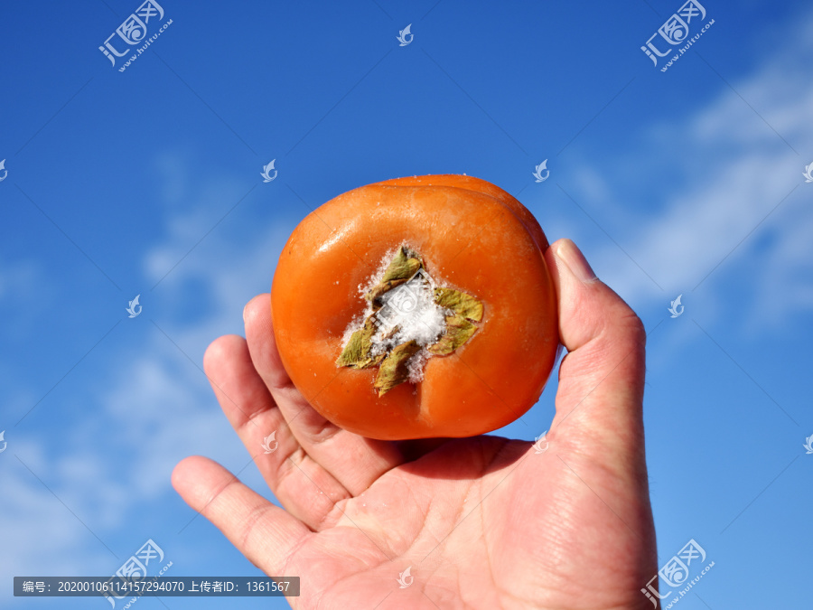 手蹑柿子