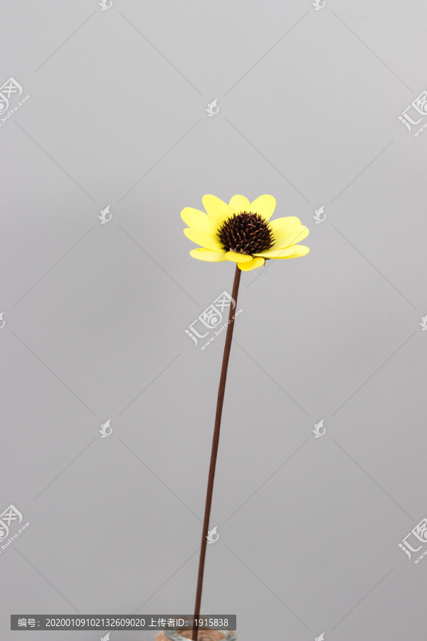 一支黄色干花
