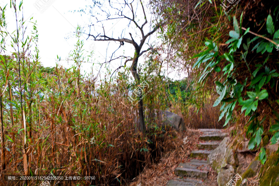 山间小路