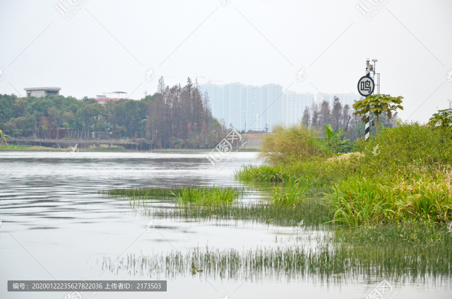 青青河边草