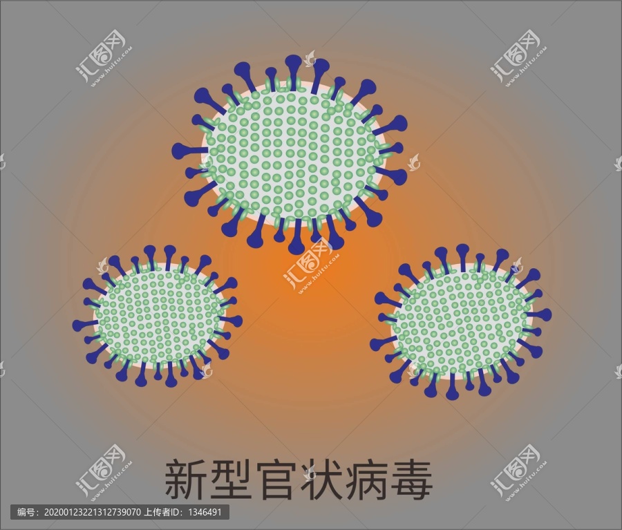 新型官状病毒的样子